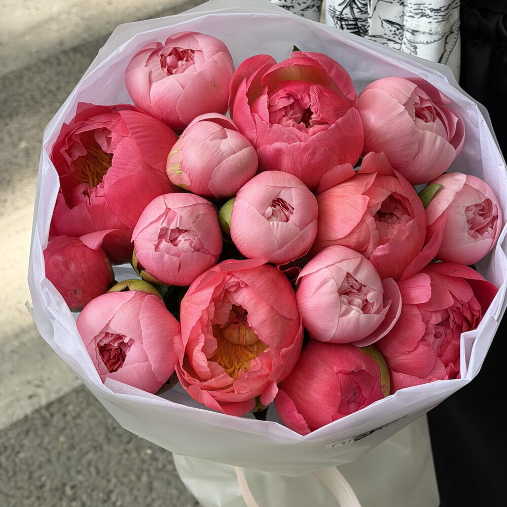Peony mix Coral with pink