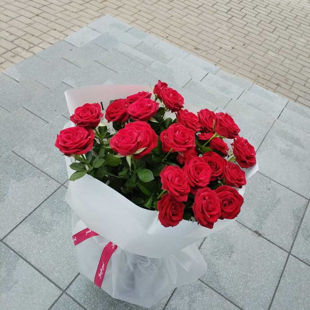 Бордо