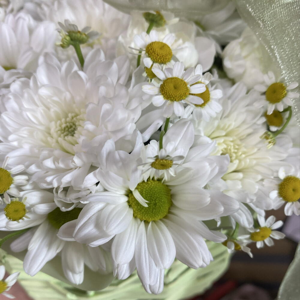 Летнее лукошко😍💐