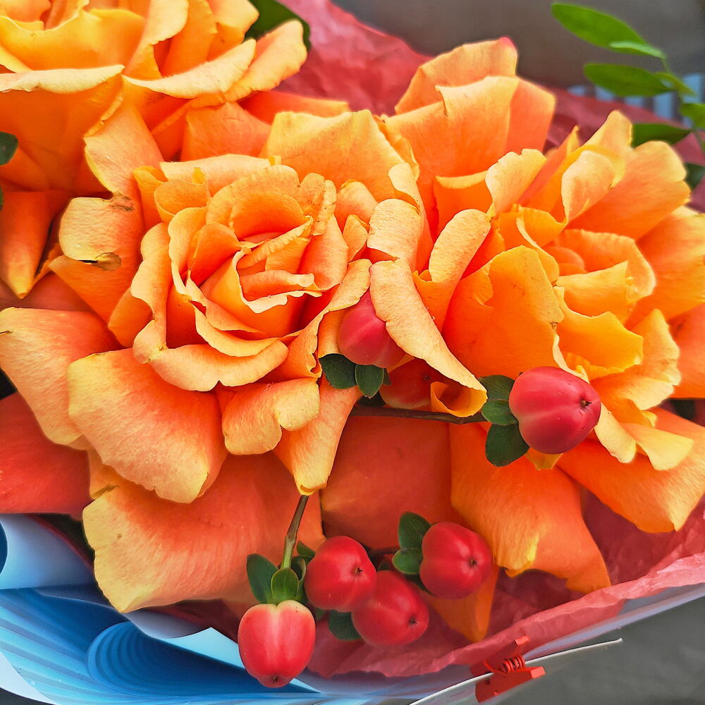 Солнечный комплимент с французскими розами 🧡