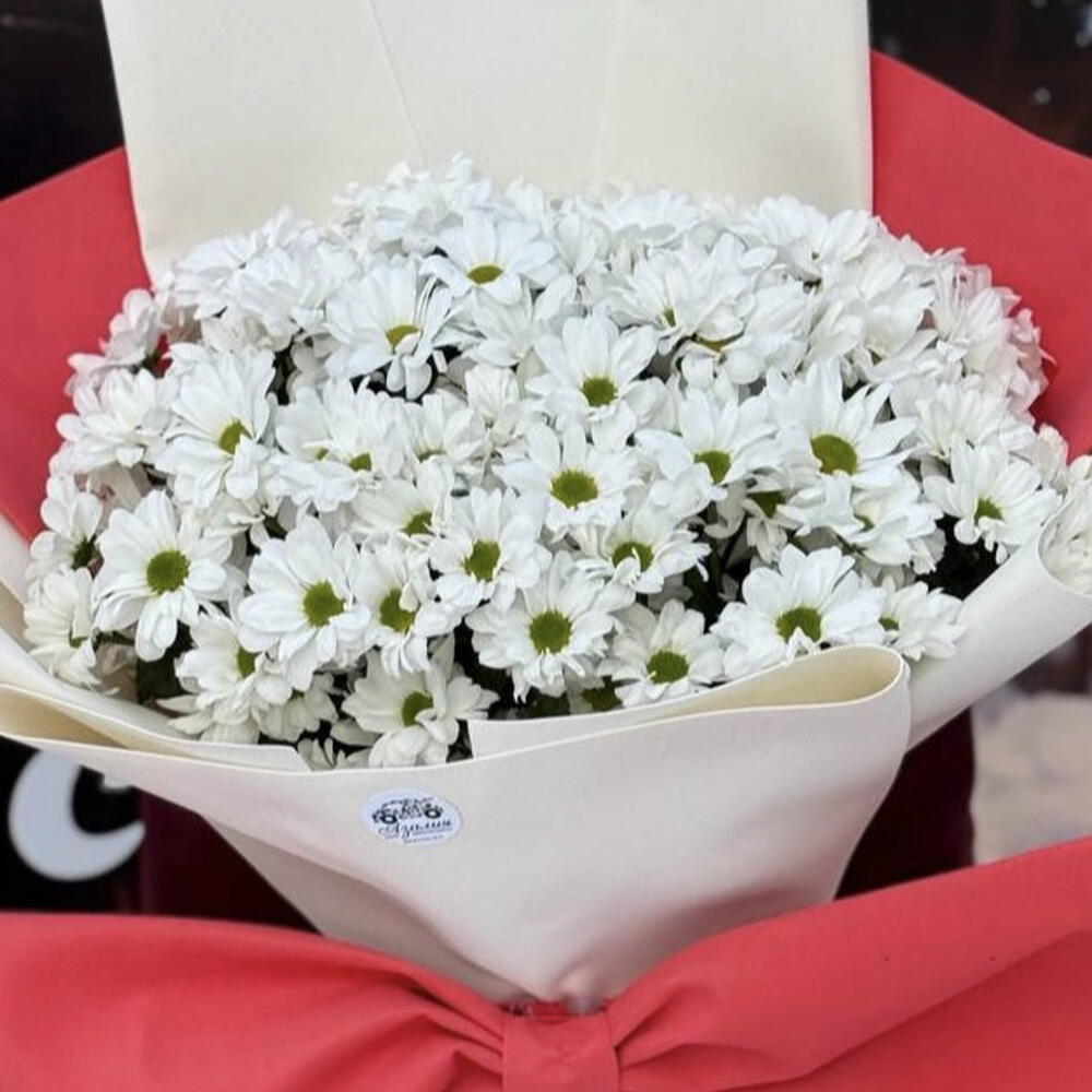 Ромашковое поле