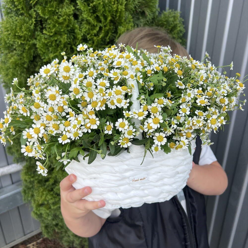 Матрикари Корзина 💐