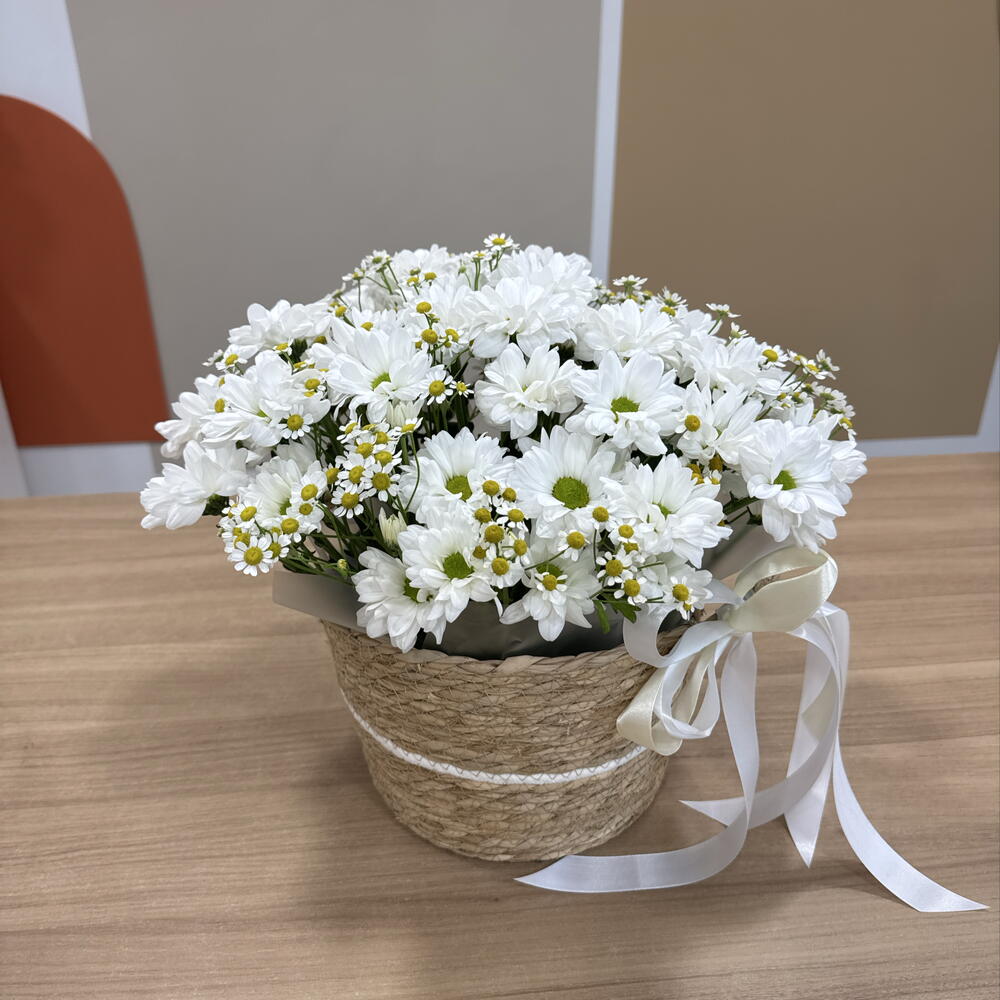 Ромашковое поле «композиция с ромашками»