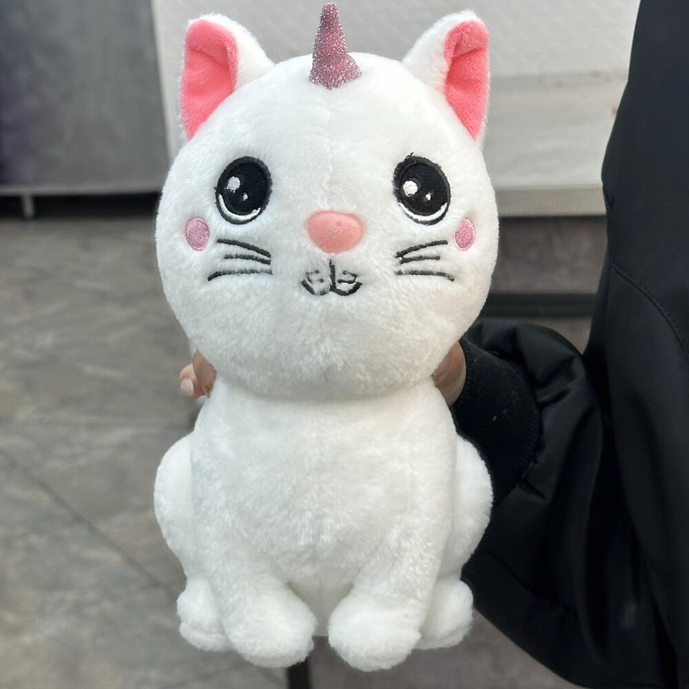 Kitten