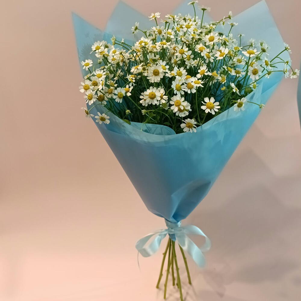 Ромашки