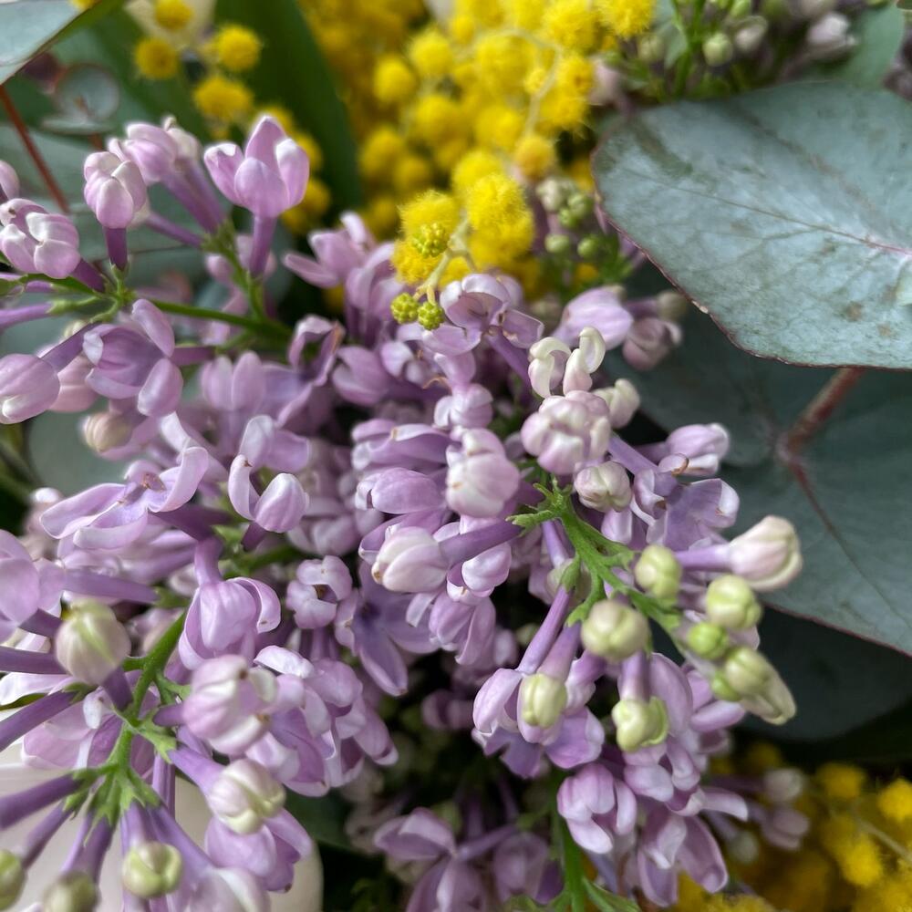 Beautiful spring
