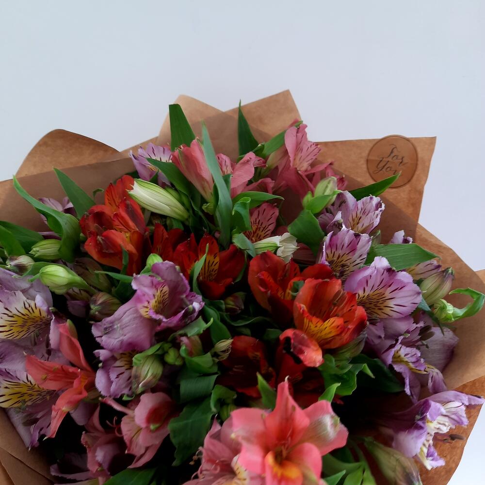 Alstroemeria mix