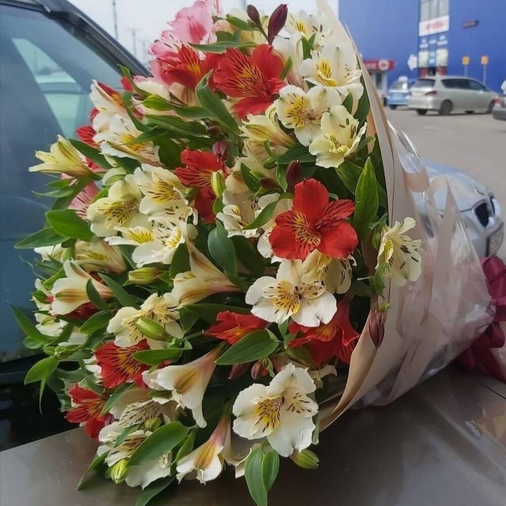 Букет из 51 Альстромерии