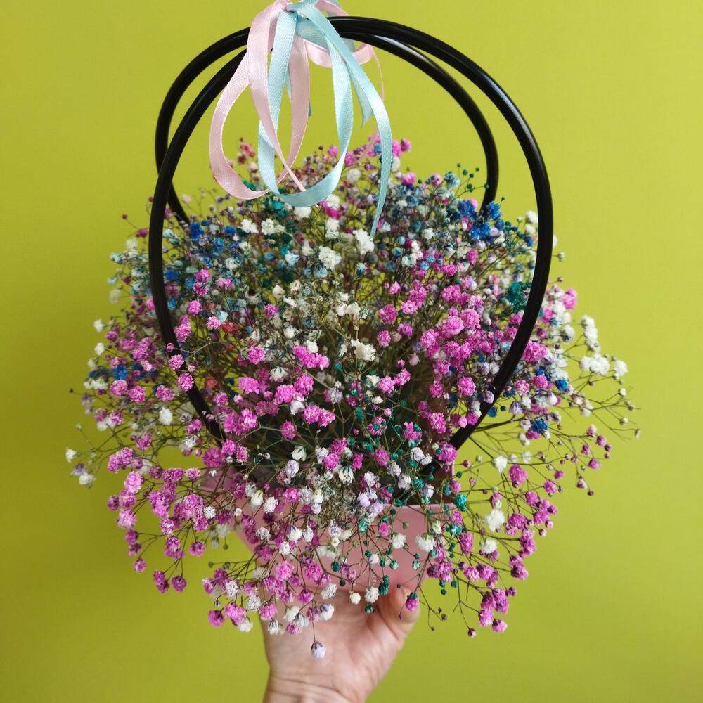 Gypsophila in a box