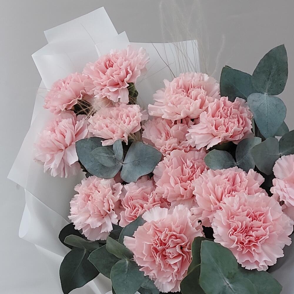 Ramo de Dianthus