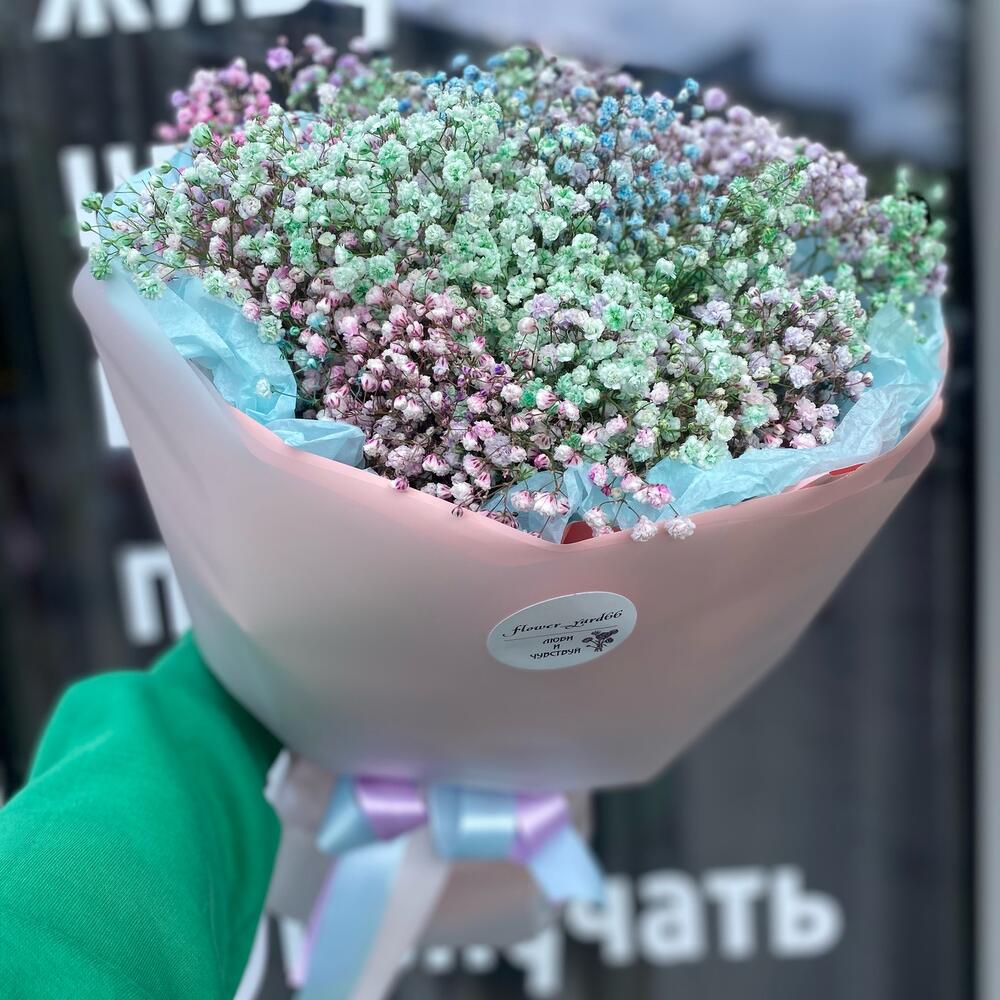 Радужная Гипсофила