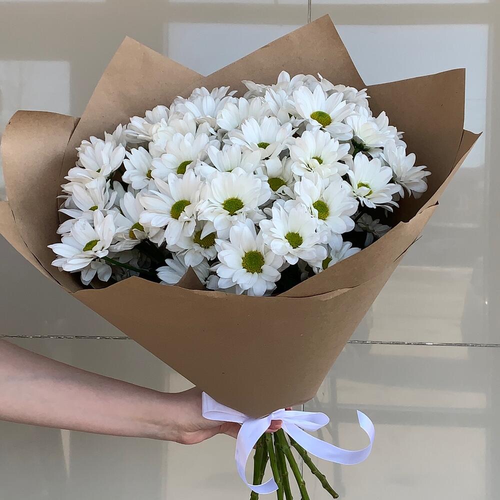 Daisies in craft 🤎 / chrysanthemum