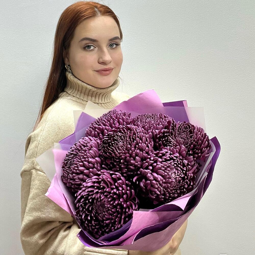 7 одноголовых хризантем винного цвета