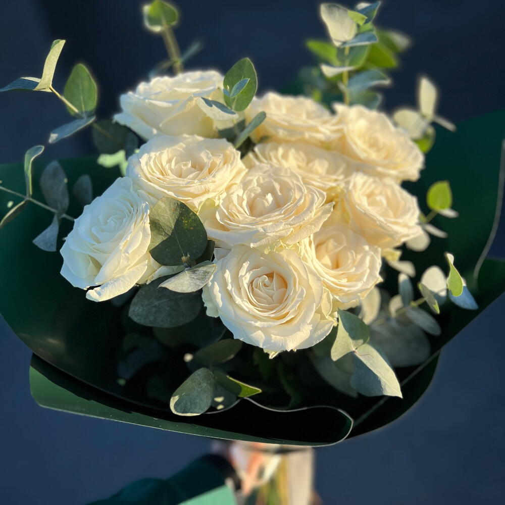White rose 🤍