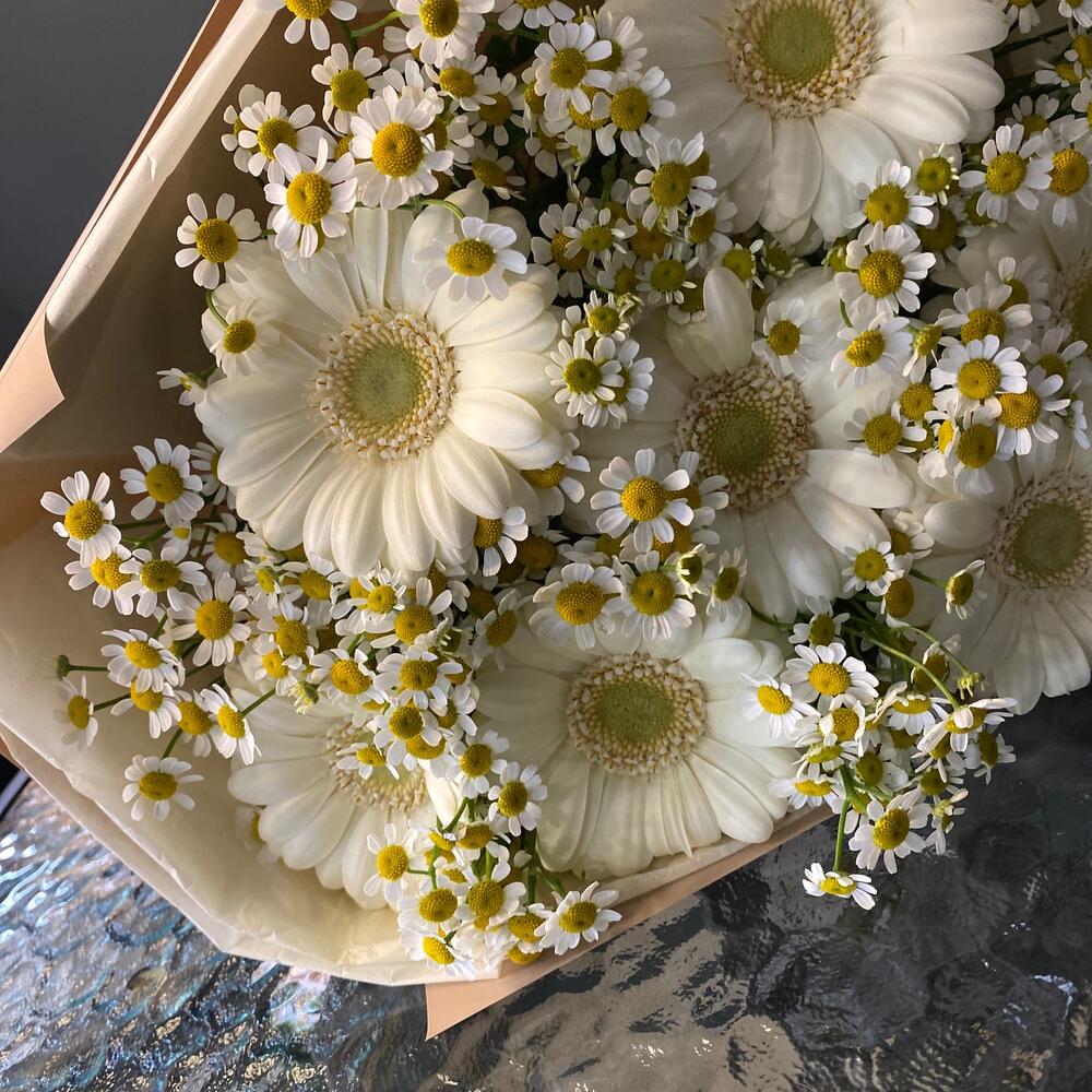 Полевой 🥰