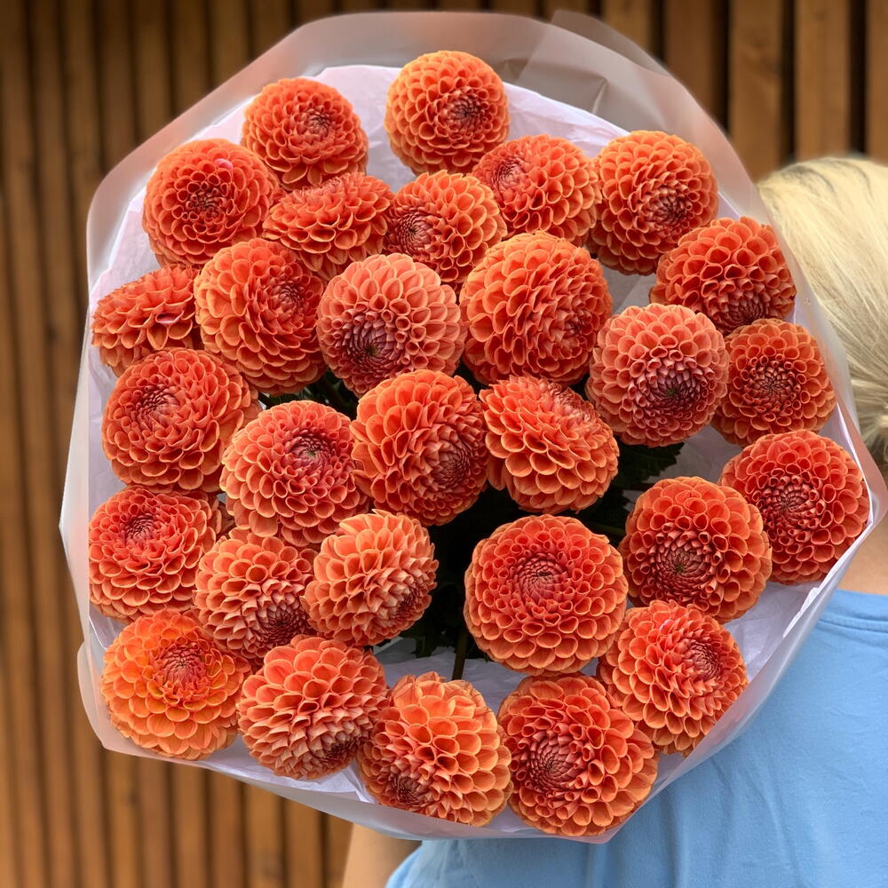 Георгины
