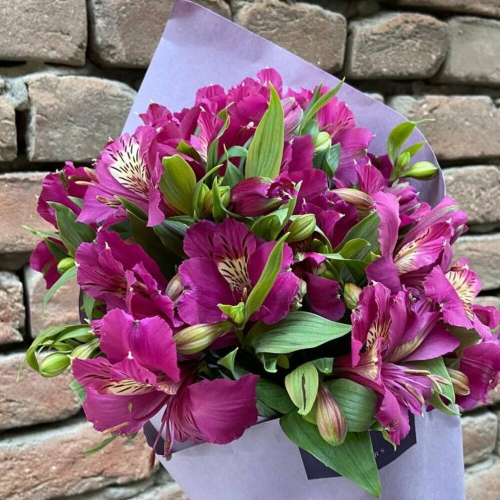 Purple kiss