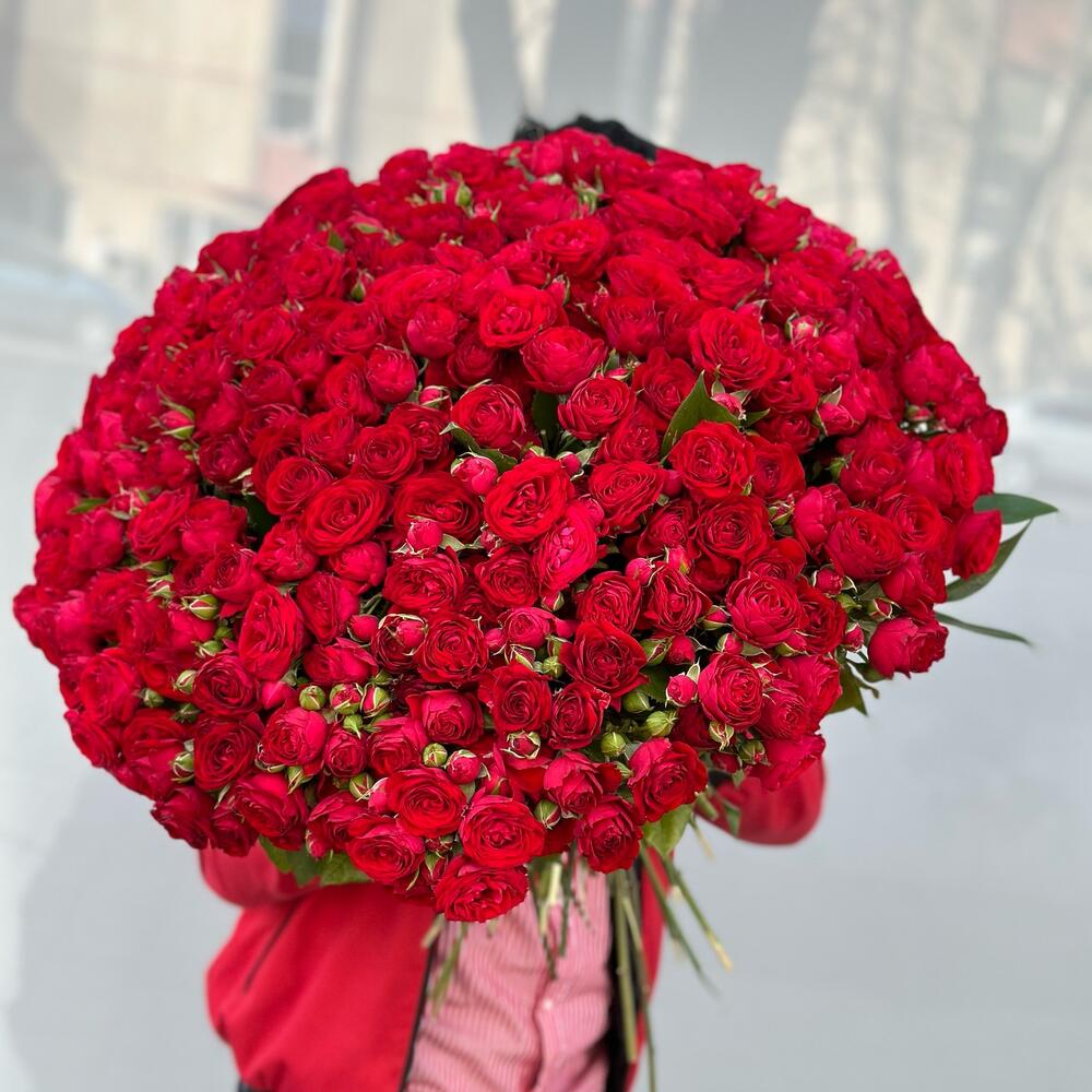 Sprey roza red