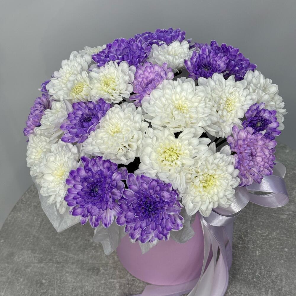 Бело-сиреневая хризантема для нее💜