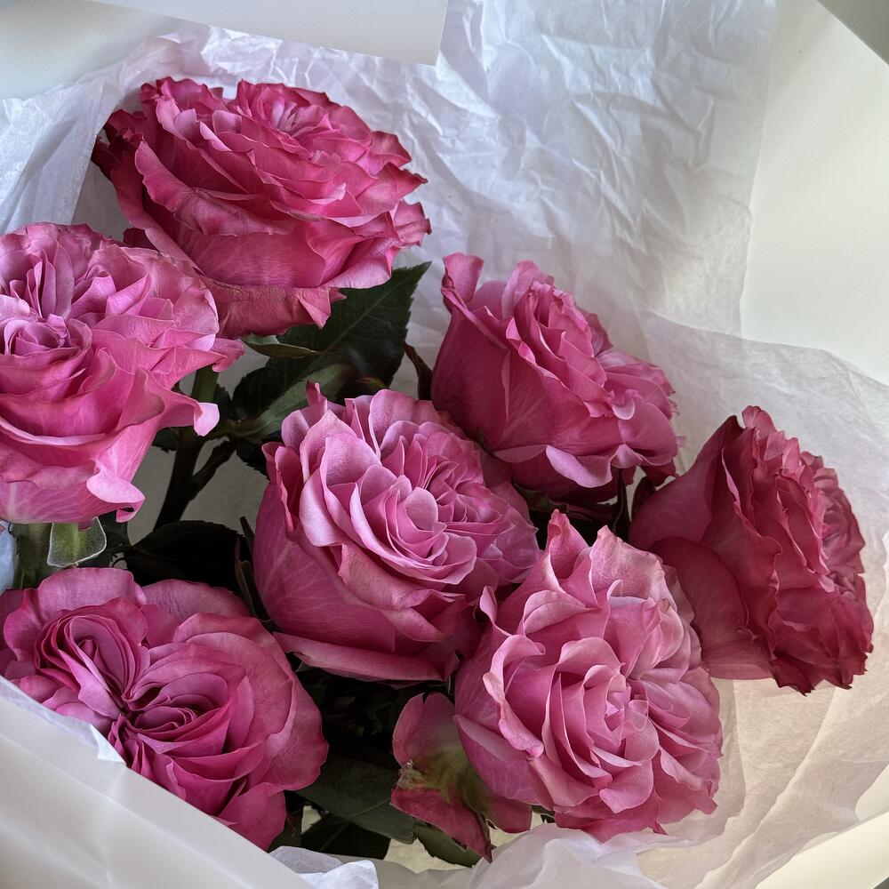 Монобукет из пионовидной розы Кантри Блюз 7 шт
