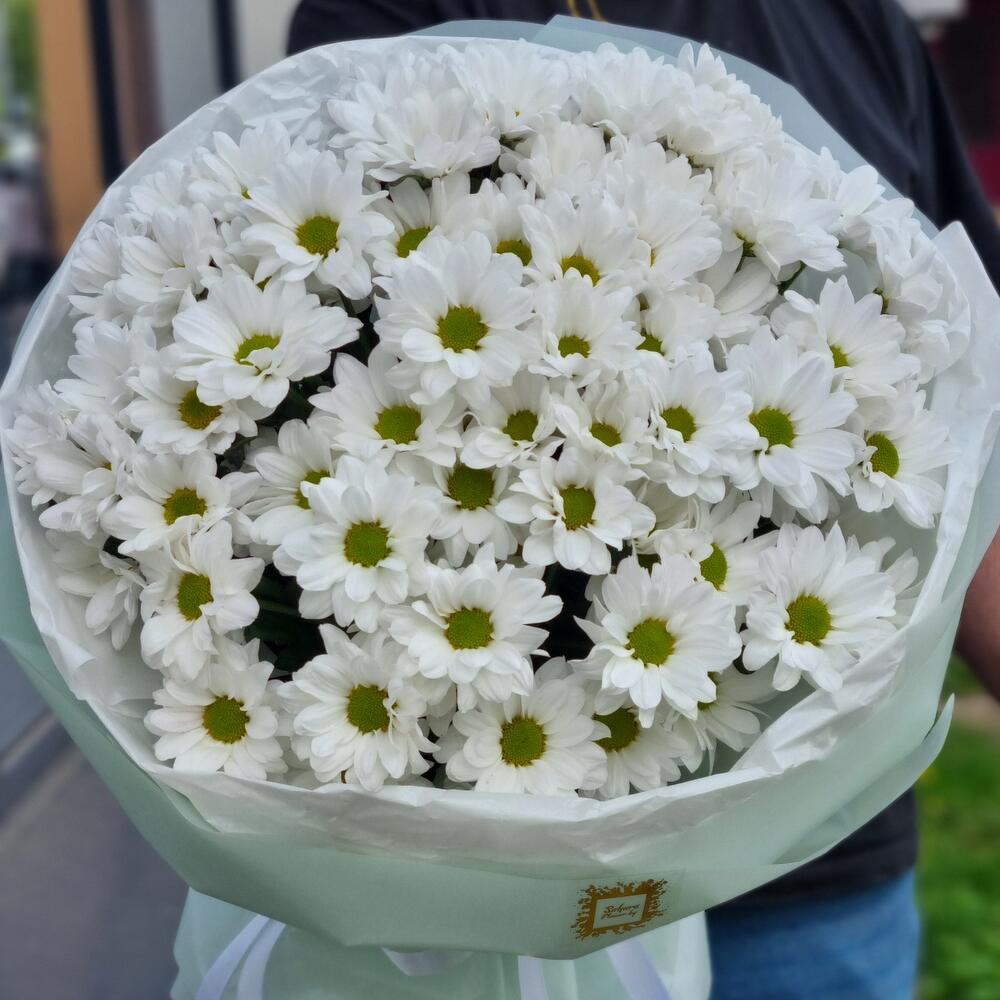 Ромашковая поляна. Романтичный и нежный