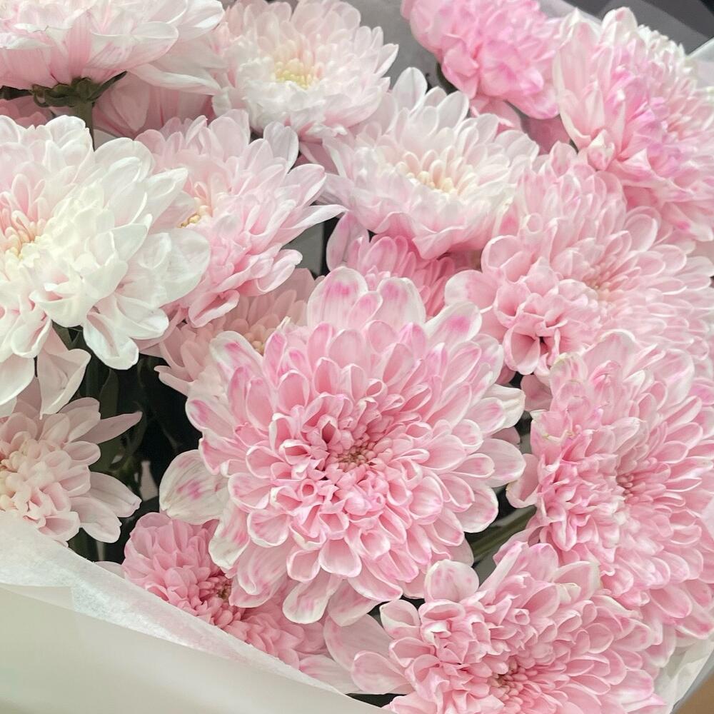 «Розовый рассвет» 💗 Очаровательный букет из 5 веток нежно-розовых кустовых хризантем