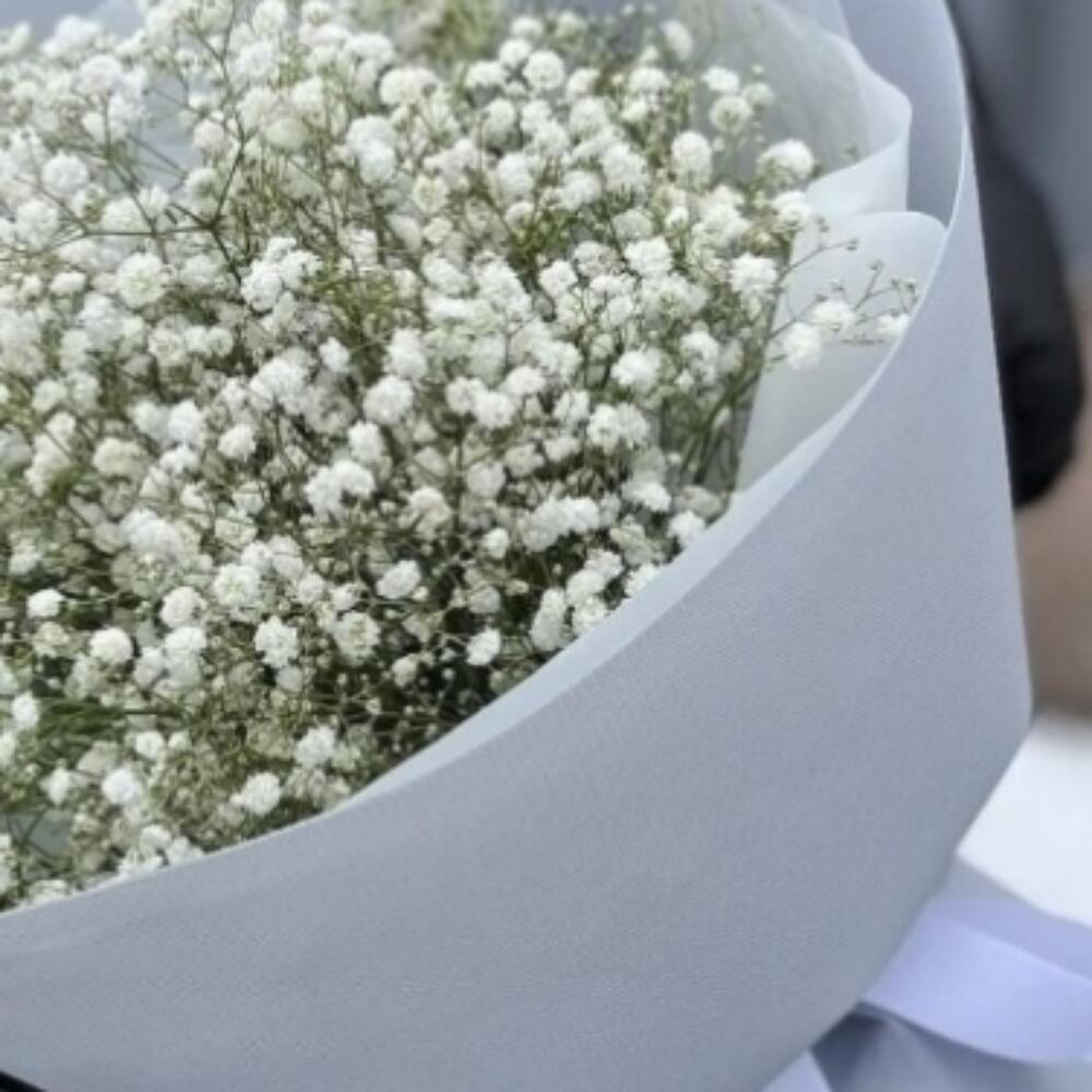 Пышная гипсофила (упаковка может отличаться, согласуем с Вами)