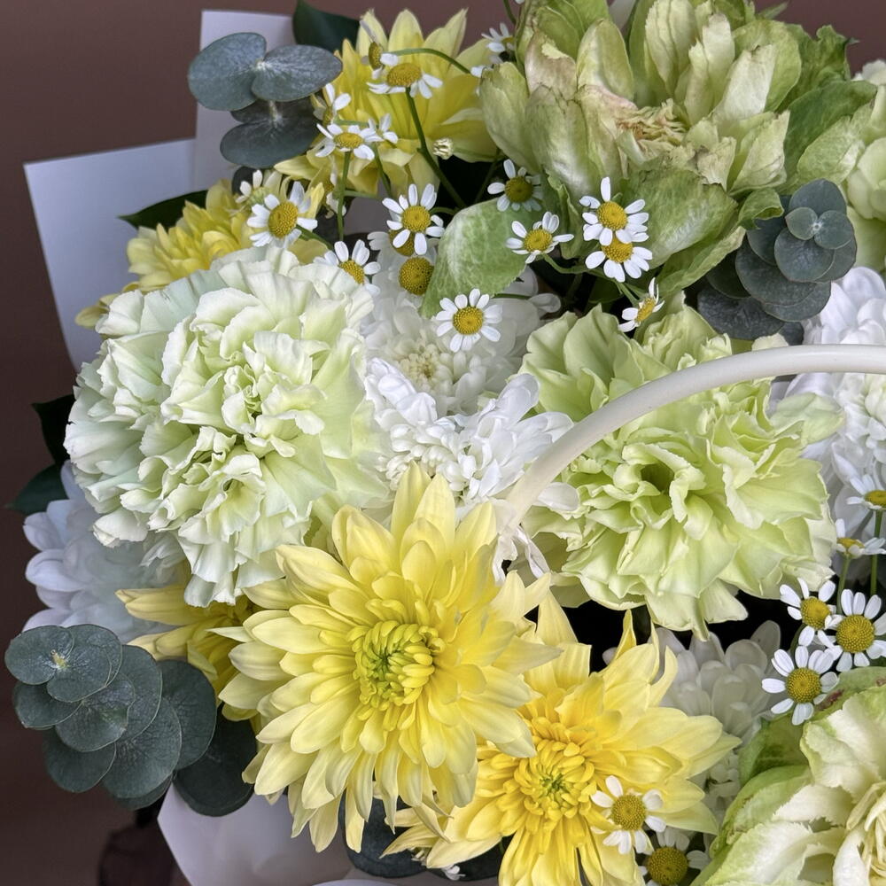 Солнечное мгновение