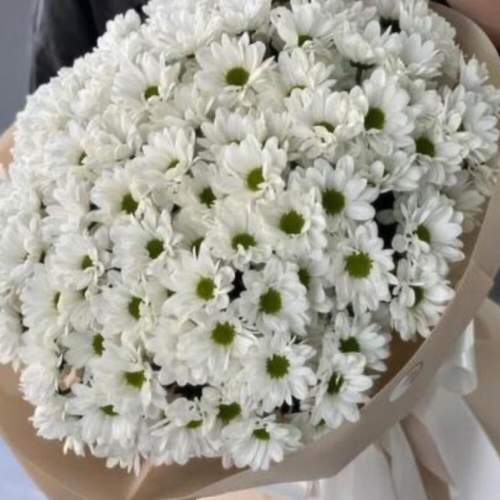 Ромашки ⭐️💍