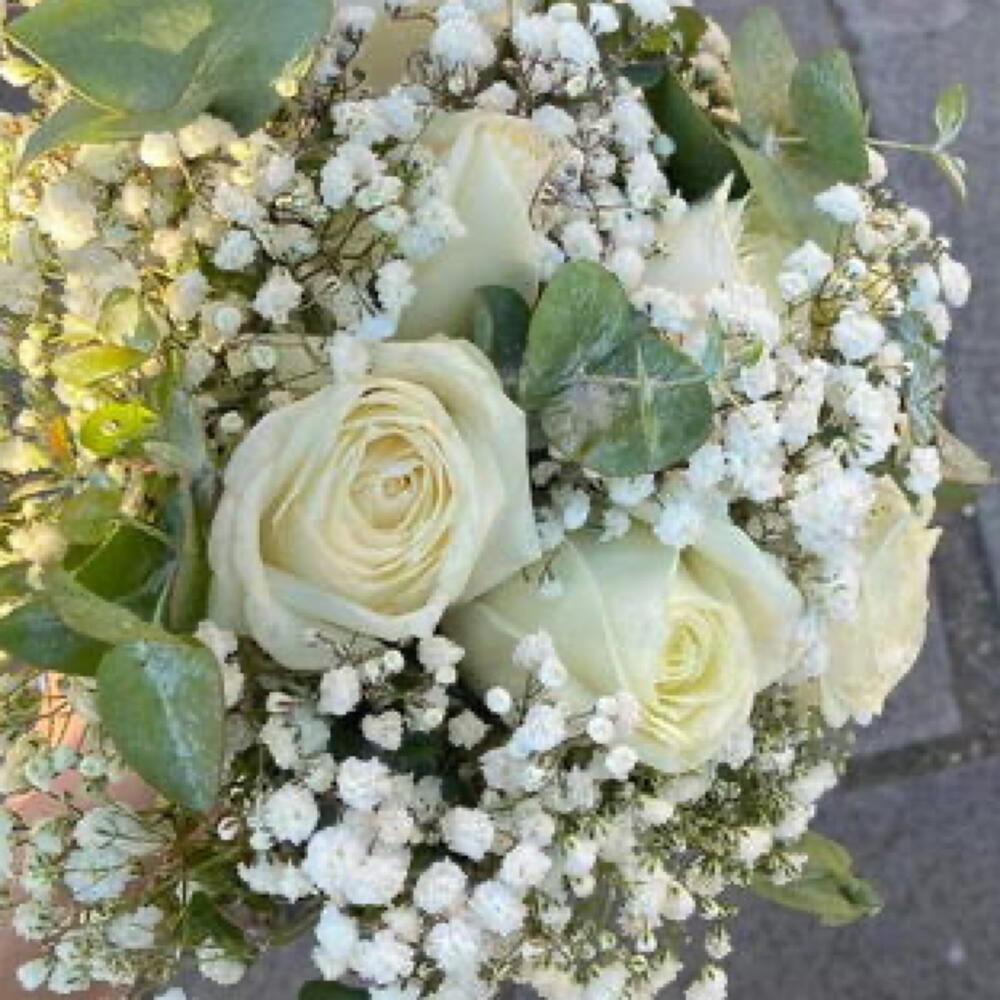 White princess