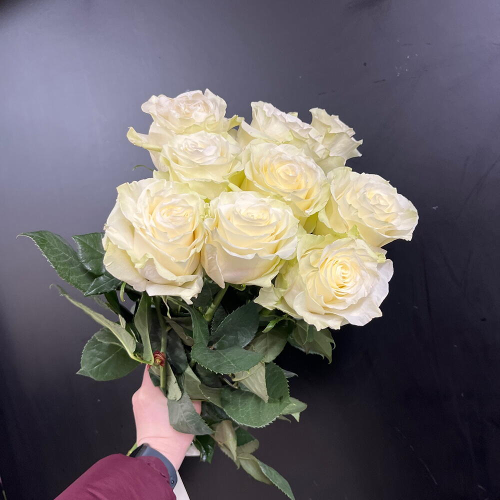 Без лишних слов