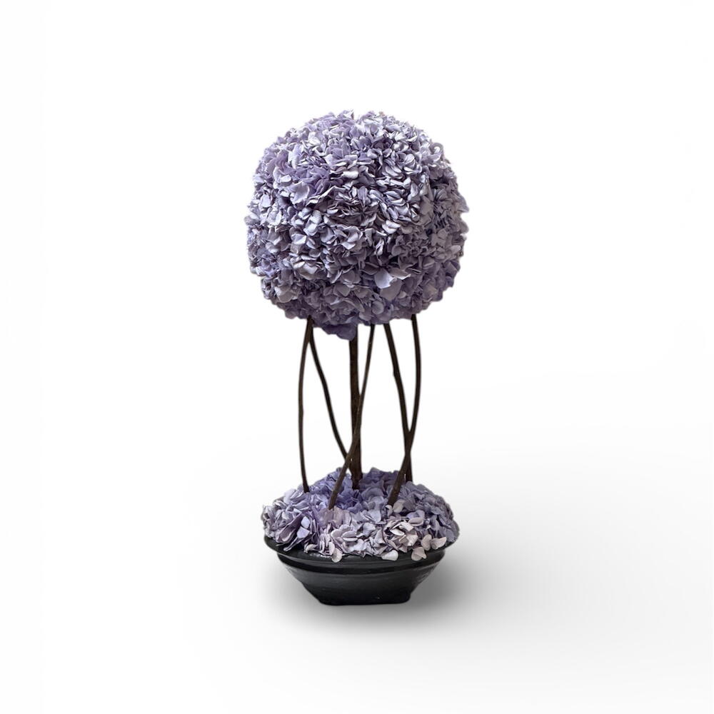 Топиари Коуп Гортензия Лила💜