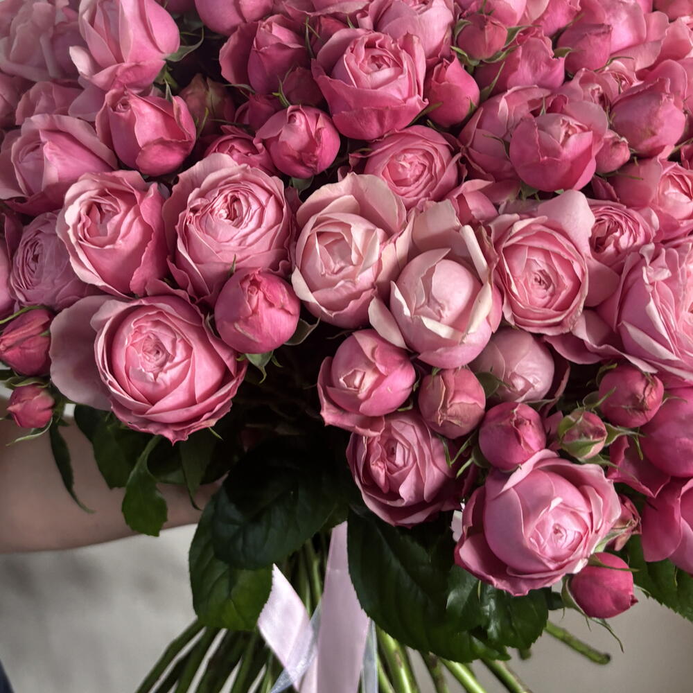 Нежный букет Сильва Pink