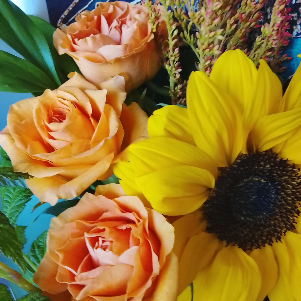 Подсолнух с розами🧡