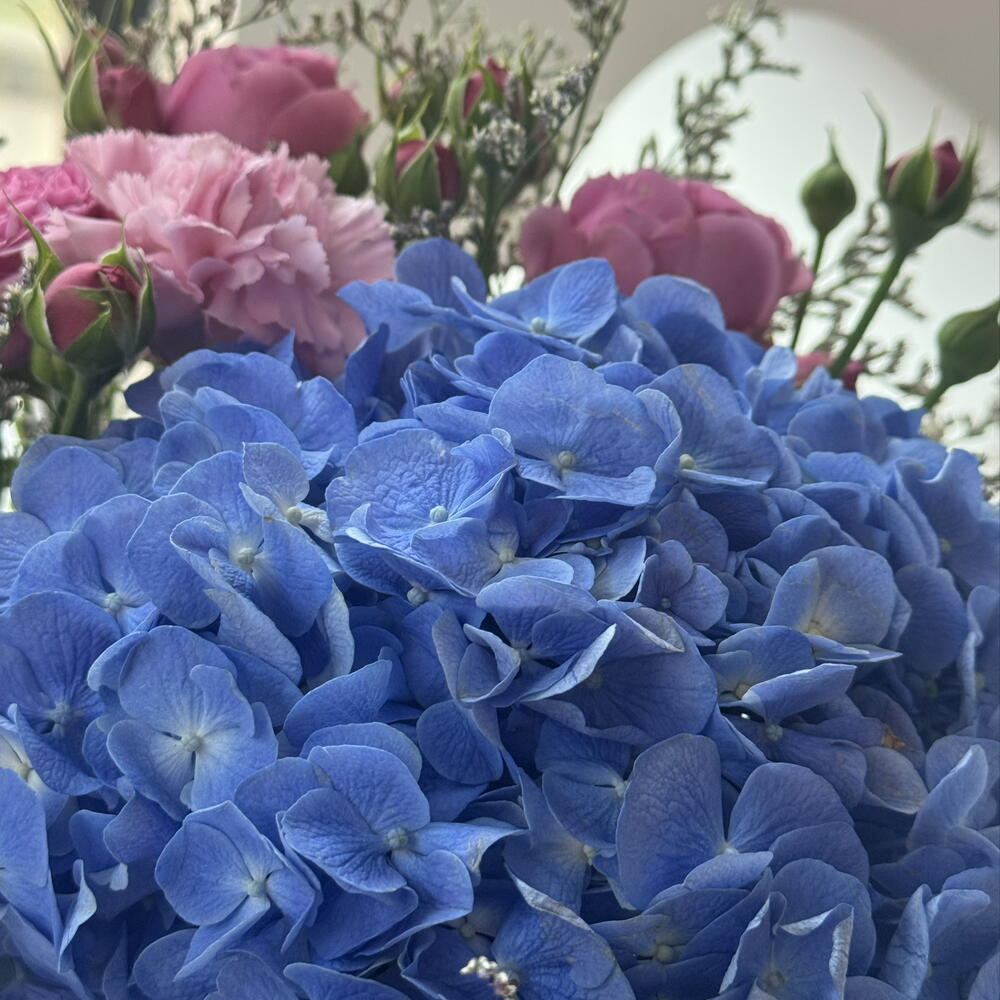 Коробка гортензией 💙