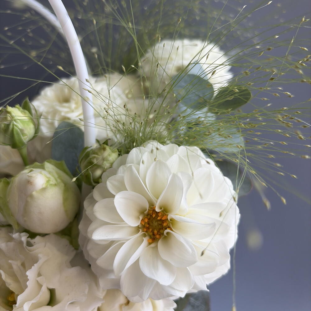 Белая сумка
