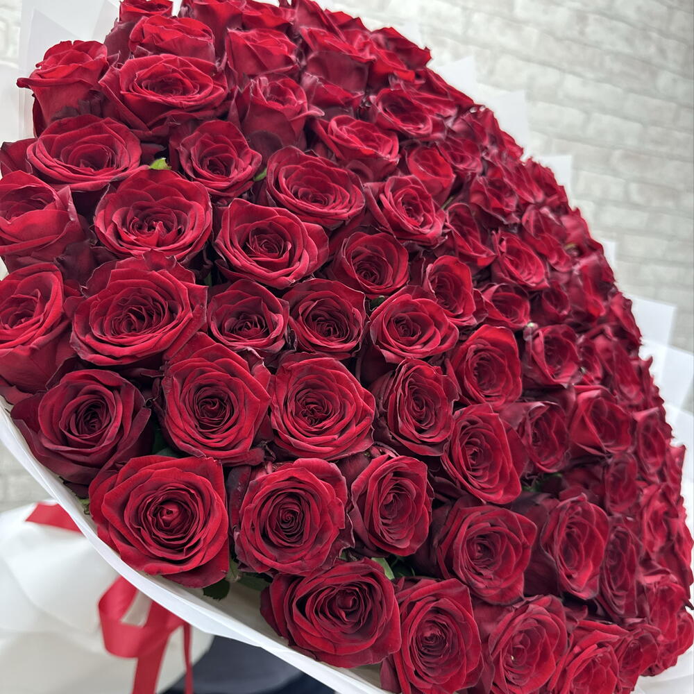 101 красная роза 🌹🥰🥰🥰