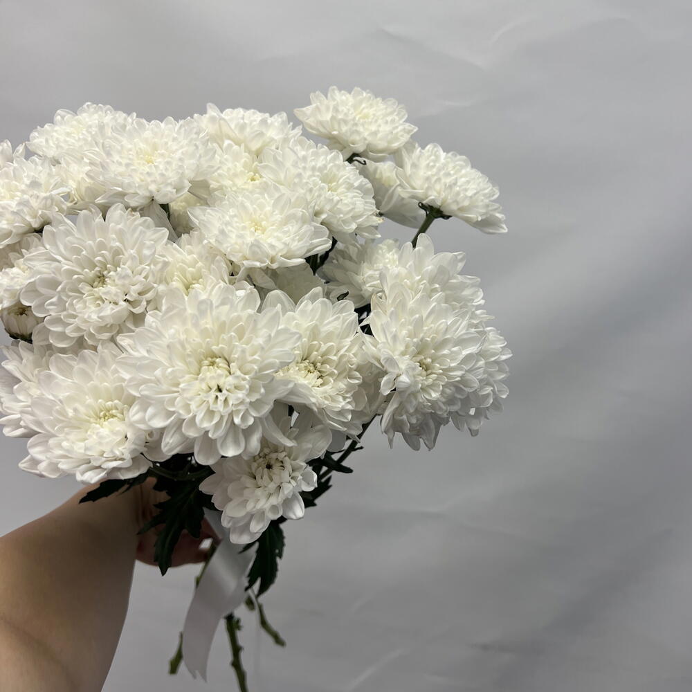 Цветы