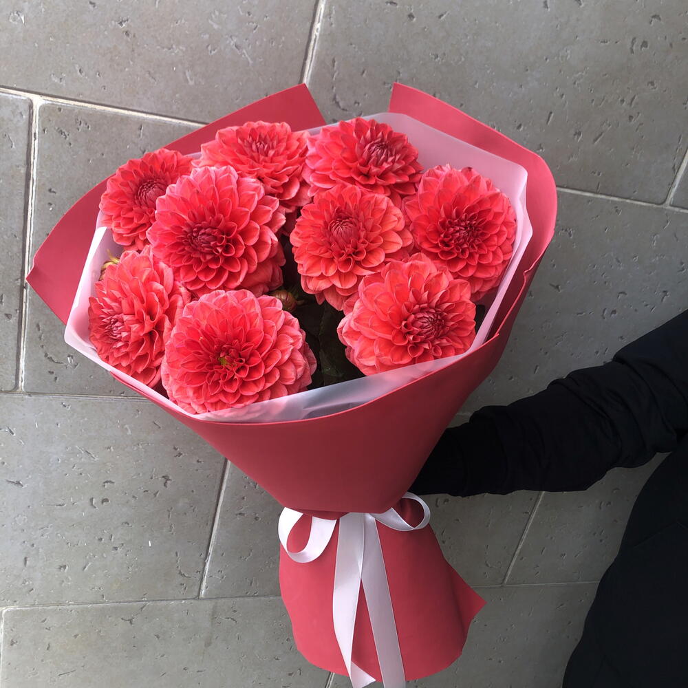 Георгины 🌺🌺🌺🌺🌺