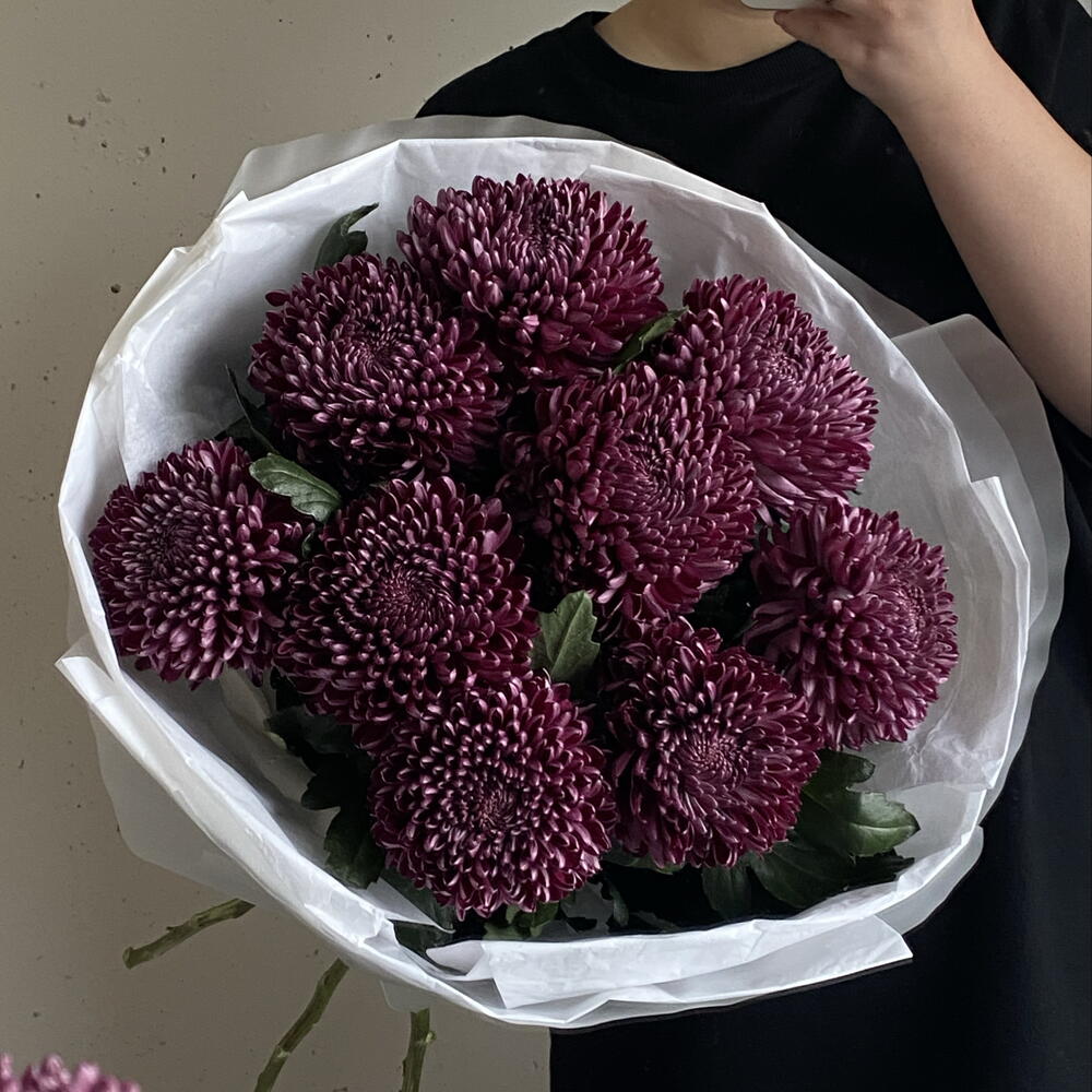 Сезонные хризантемы сорта «Бигуди» в винном оттенке в упаковке 🍇 9