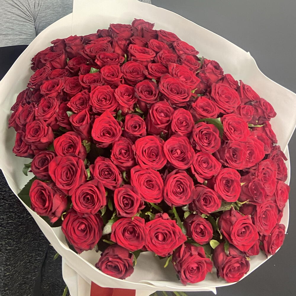 101 Premium Roses Red