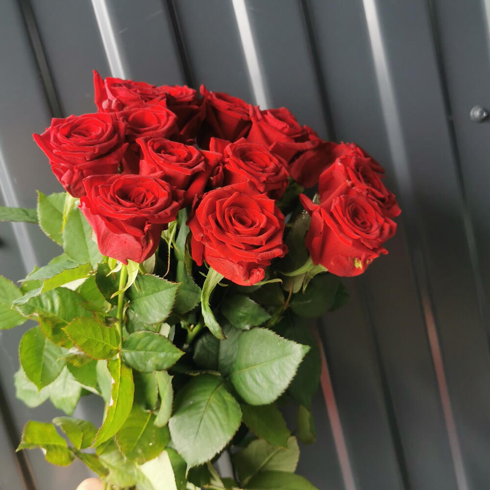 Ред Наоми 15🌹