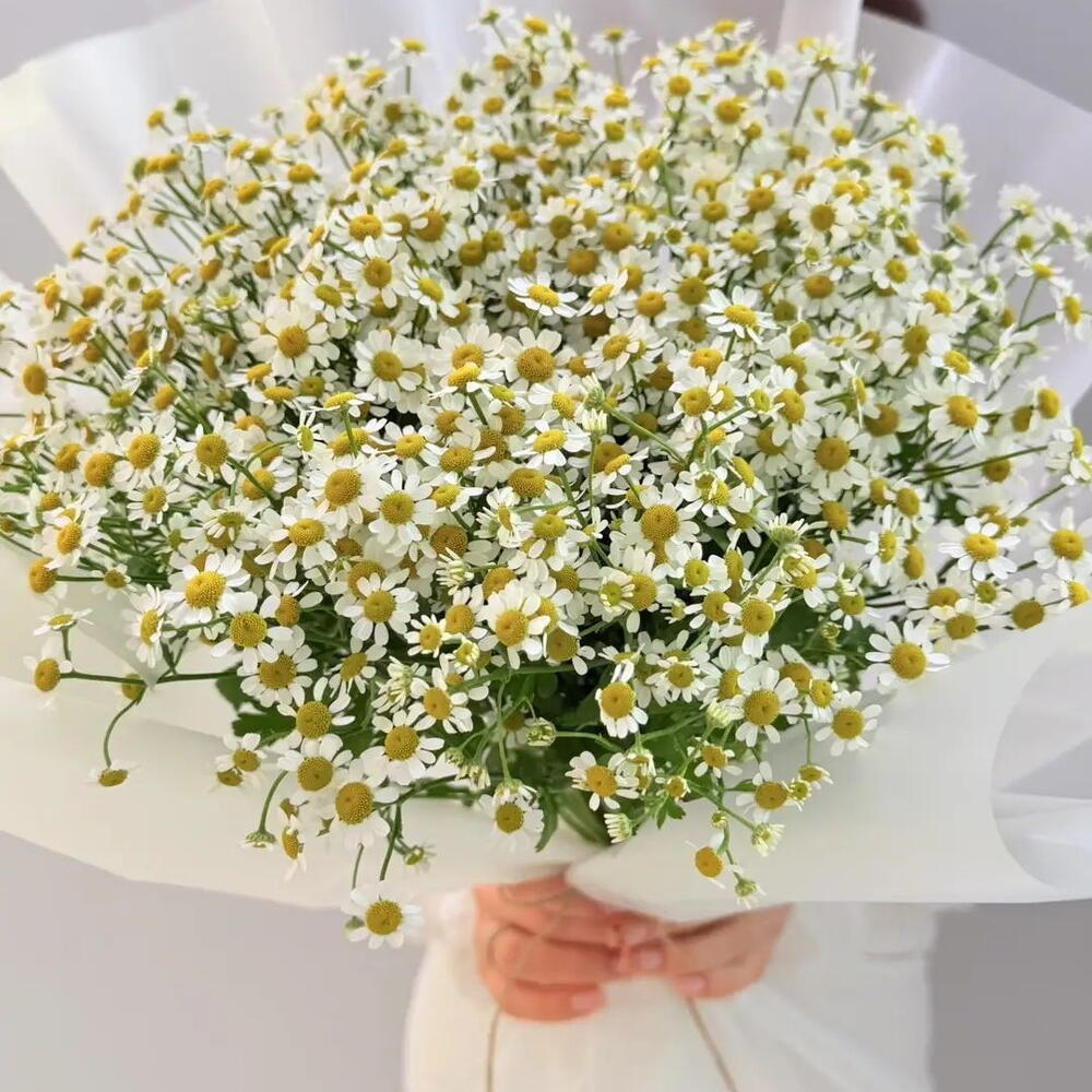 Букет ромашек