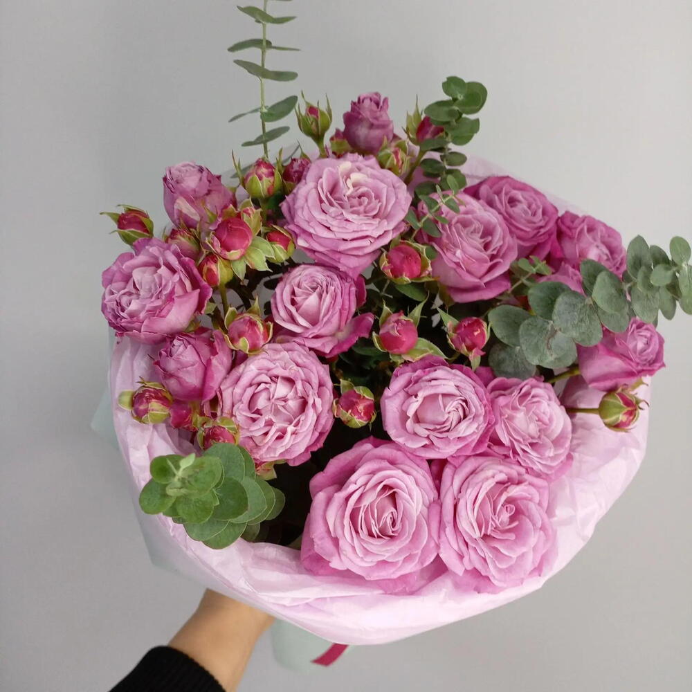 Кокетка 1