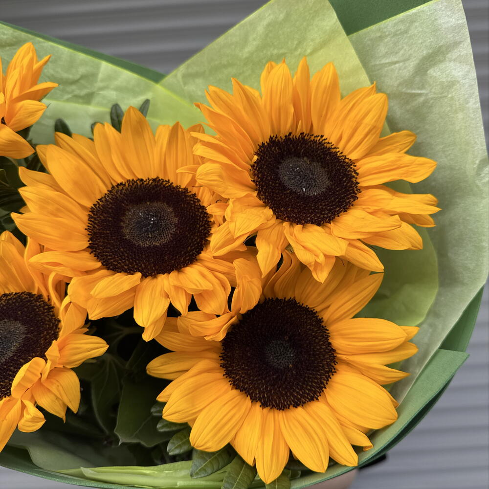 Букет из 5 подсолнухов 🌻