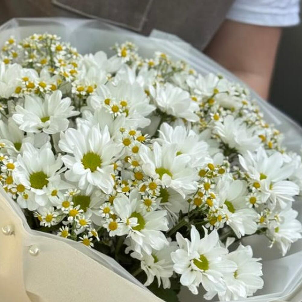 Букет "Мерси" из ромашковых хризантем и танацетума