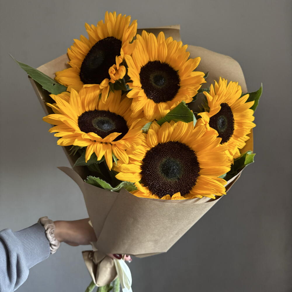 Подсолнухи 🌻
