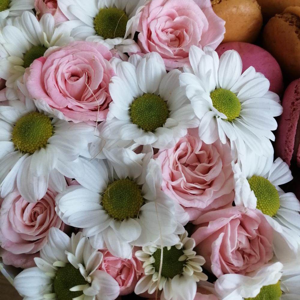 Комплимент для любимой