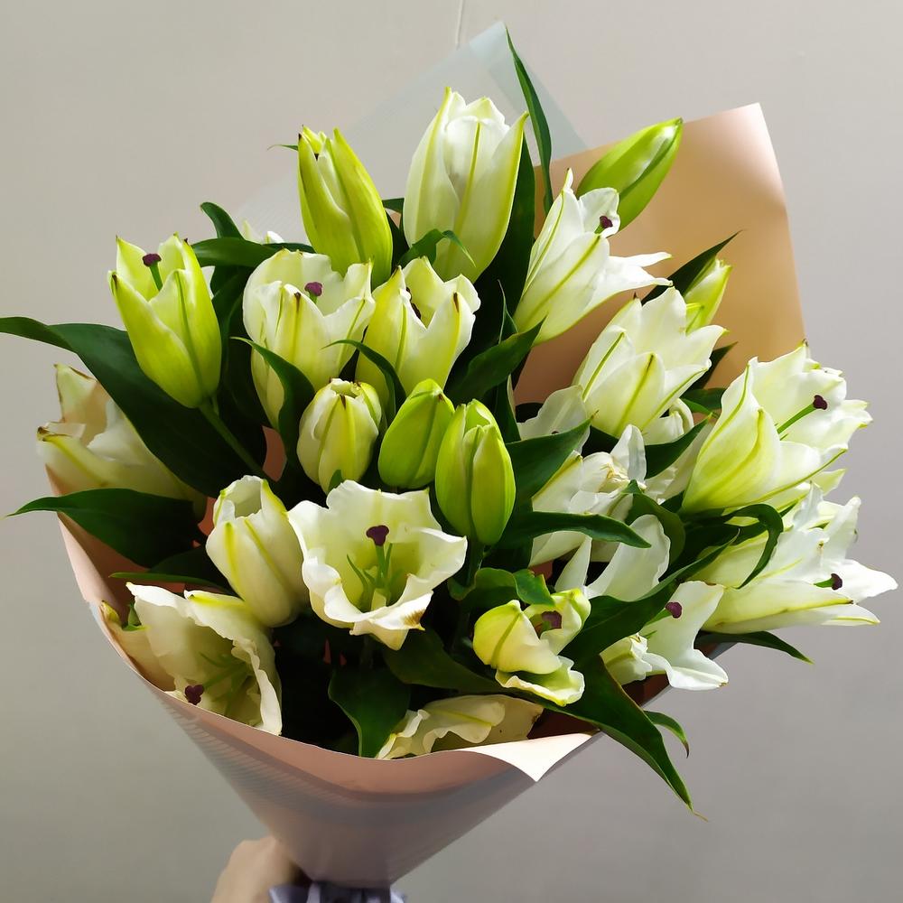 Lily ( 11 pcs )