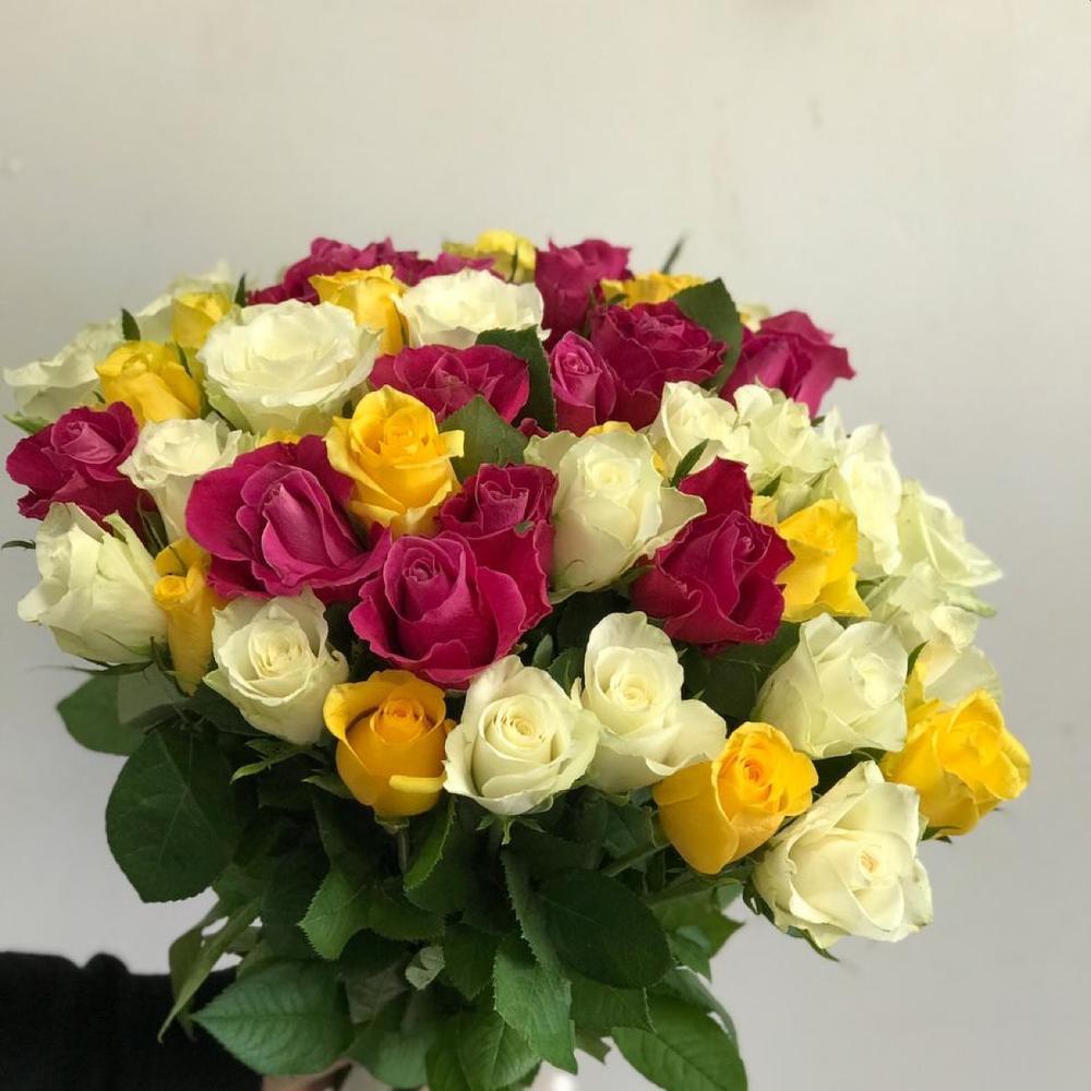 51 роза 0045